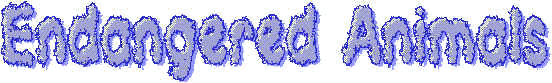 wpe2.jpg (14612 bytes)